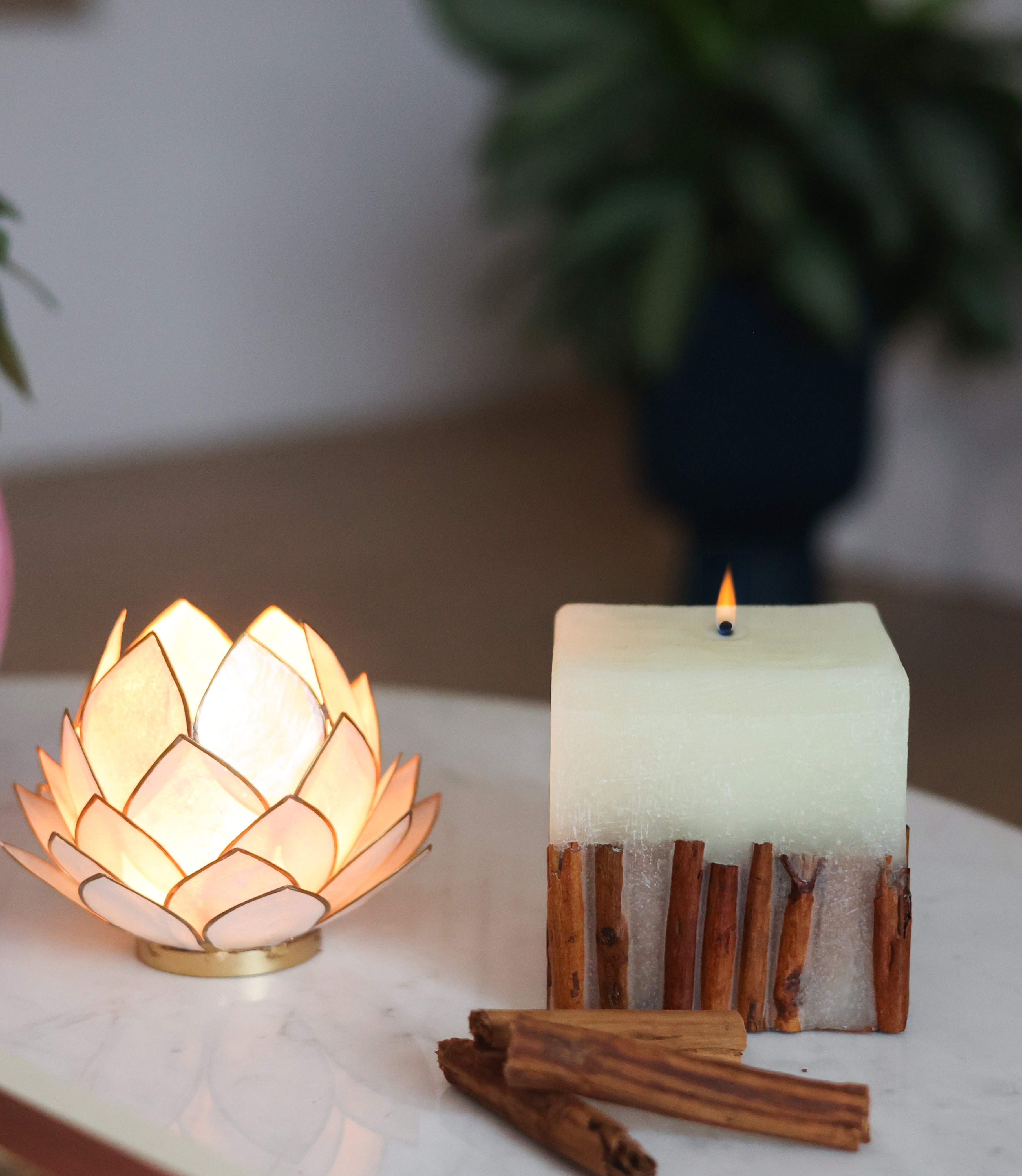 STAR ANISE - SCENTED CANDLE